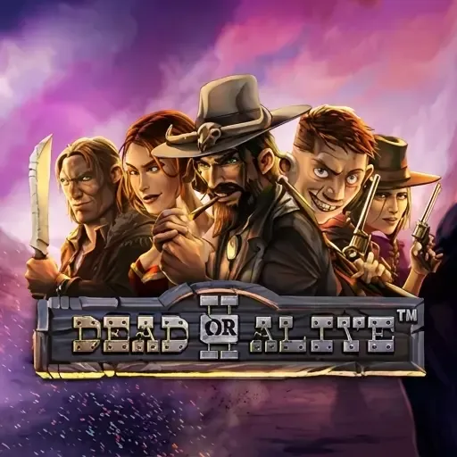Dead or Alive 2 slot – Coolzino casinò